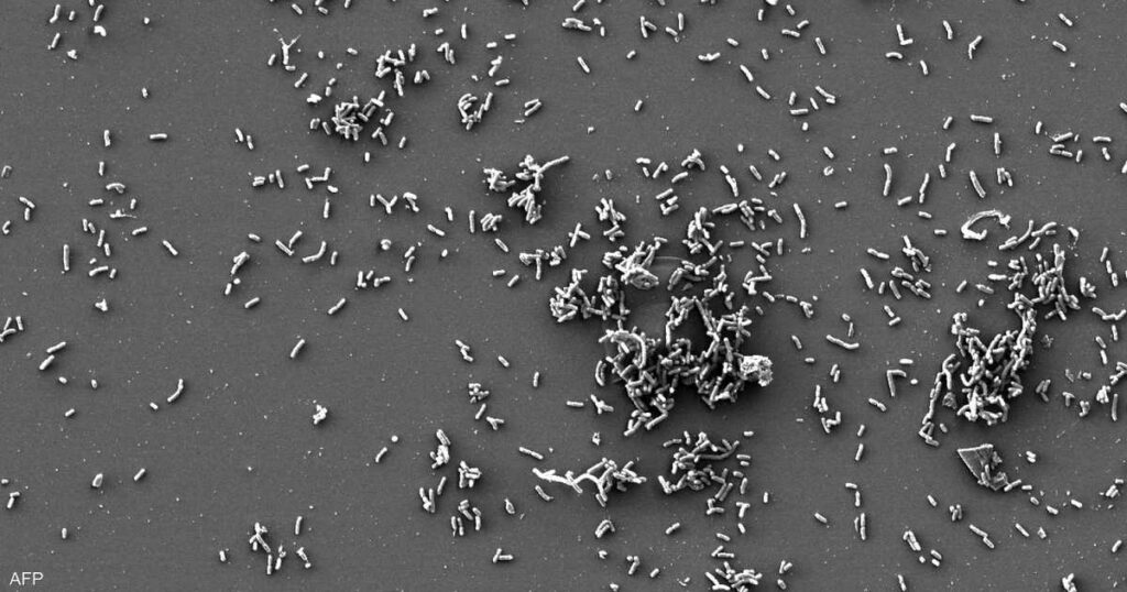 منذ 37 ألف عام.. دراسة تكشف "أقدم أمراض" أصابت البشر