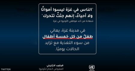 أونروا: "الناس في غزة ليسوا أمواتا ولا أحياء إنهم جثث تتحرك"