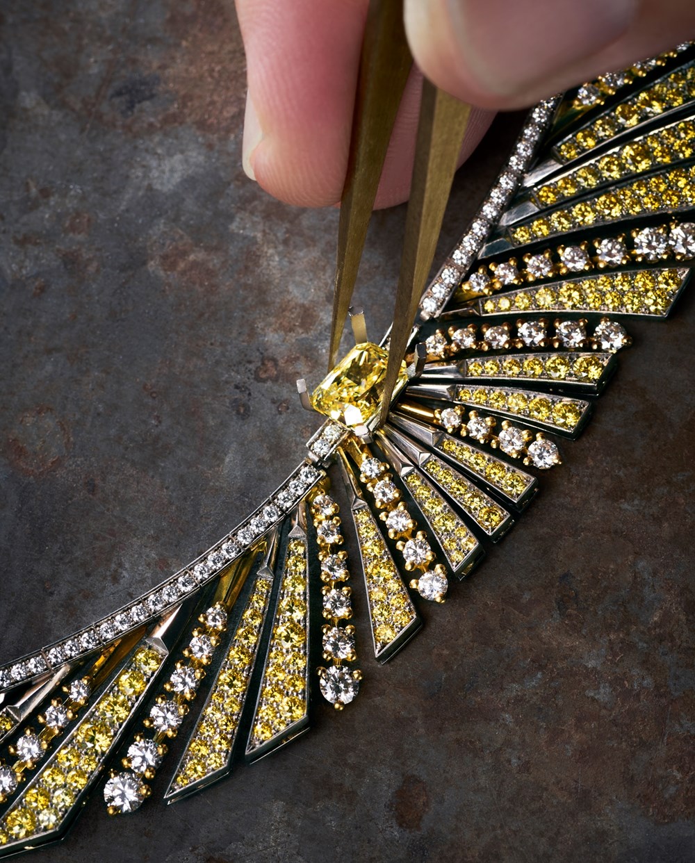 إشراقة جديدة من FRED.. 