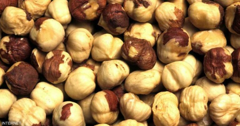 الصقيع يضرب محاصيل البندق في تركيا ويشعل الأسعار