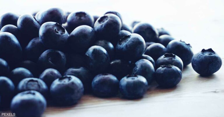 هذه الأطعمة تحمي دماغك من الشيخوخة وتزيد حدة الذكاء