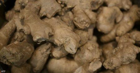 الزنجبيل.. دواء سحري لحماية القلب