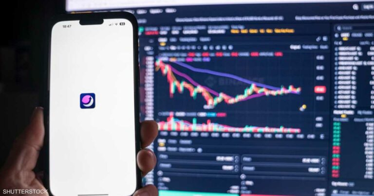 لماذا ينساق المستثمرون وراء أسهم الميم؟