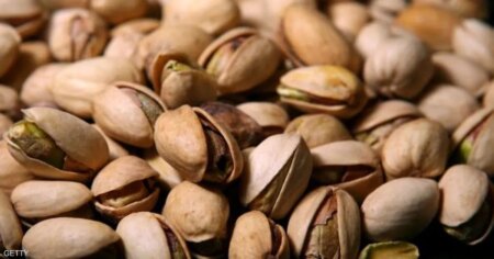 حفنة فستق يوميا.. تؤثر على أمعائك ووزنك وصحة قلبك