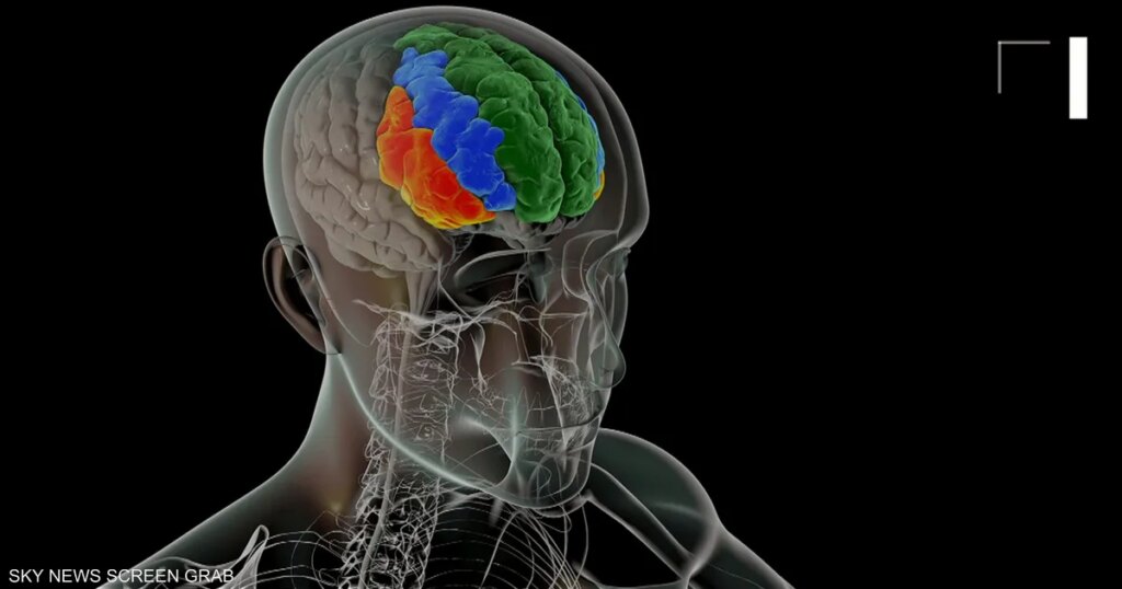 العلم يكشف "الرابط الخفي" بين الكوليسترول والذاكرة