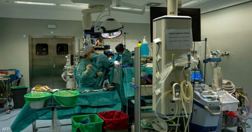 لأول مرة في العالم.. زراعة كبد خنزير في جسم إنسان