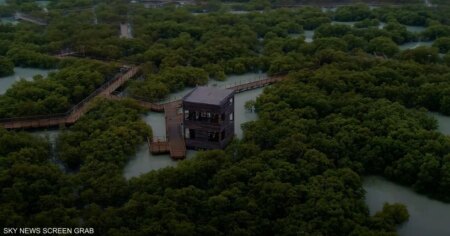 مبادرات وشراكات.. الإمارات في قلب الجهود البيئية الدولية