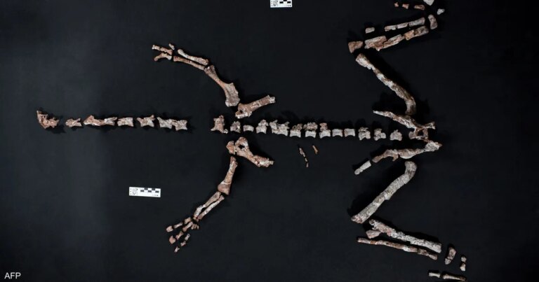 اكتشاف بقايا أحد أقدم الديناصورات في العالم