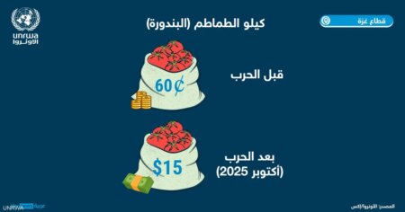 أونروا: الناس لا يستطيعون تحمل تكلفة الطعام الذي ظهر في غزة