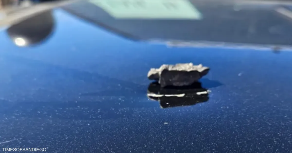 قذيفة طائشة تصيب مركبة شرطة خلال عرض عسكري في كاليفورنيا