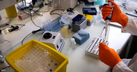 علماء: "إنزيم الدهون" يخفي سرا مذهلا منذ 60 عاما