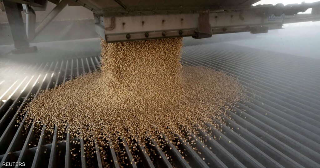 كيف وظفت الصين فول الصويا للضغط على ترامب؟