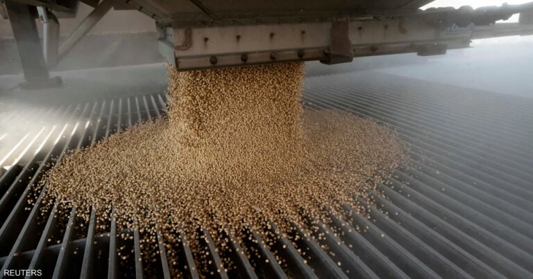 كيف وظفت الصين فول الصويا للضغط على ترامب؟