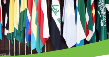 منظمة التعاون الإسلامي تناشد السودانيين بضرورة الحوار