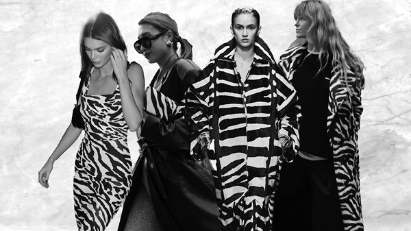 «نقشة الزيبرا» من جديد.. إطلالات تنبض بالحيوية وتستحق التجربة «نقشة الزيبرا» من جديد.. إطلالات تنبض بالحيوية وتستحق التجربة