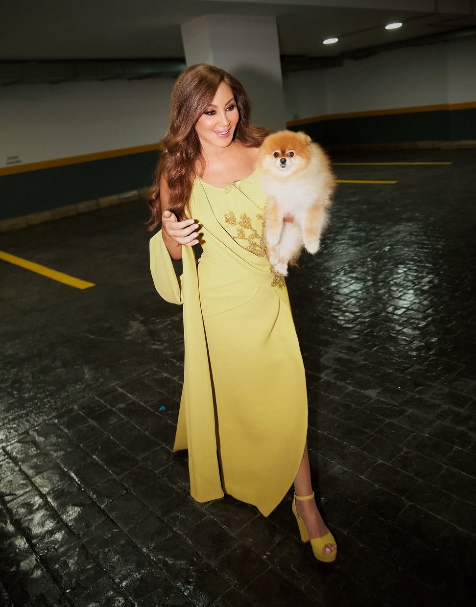 في عيد ميلاد إليسا.. إليكم أبرز إطلالات النجمة اللبنانية