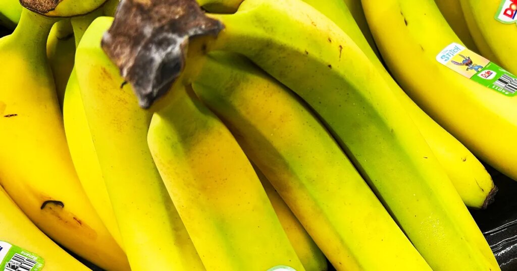 تقرير يكشف علاقة لون الموز بفوائده الصحية