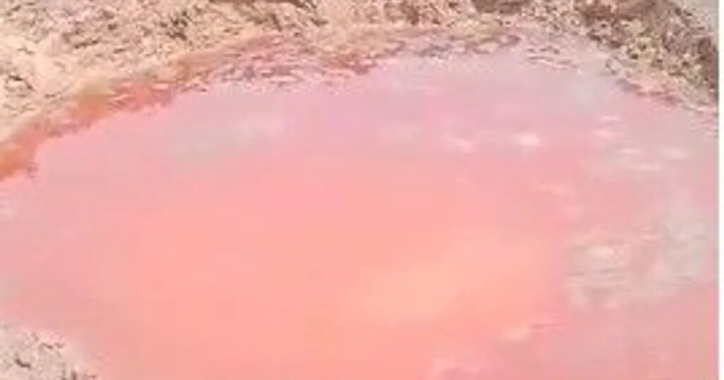 تصعيد أميركي بملف الكيماوي.. ما التداعيات على السودان؟