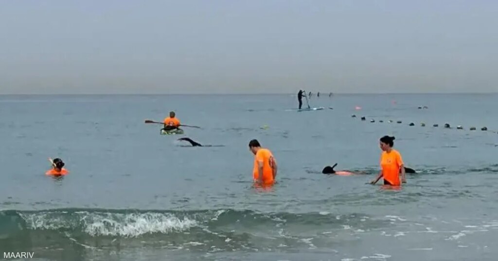 حتى في البحر.. إسرائيل تبحث عن "الهاتف المفقود"