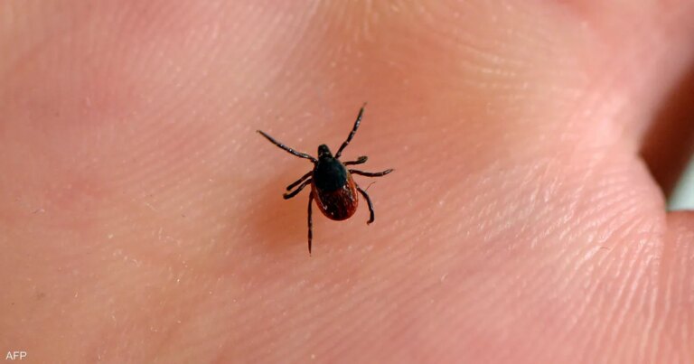 من لدغة إلى موت.. توثيق أول وفاة بسبب متلازمة "ألفا غال"