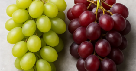 أيهما أفضل.. العنب الأحمر أم الأخضر؟