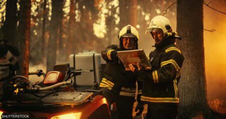 هل يصبح الذكاء الاصطناعي حارس الغابات الذي ينقذها من الحريق؟