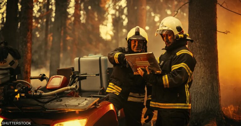 هل يصبح الذكاء الاصطناعي حارس الغابات الذي ينقذها من الحريق؟