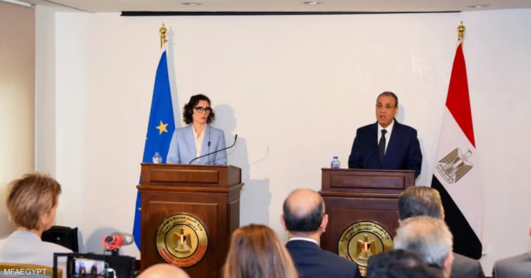 وزير الخارجية المصري يدعو إلى تأسيس بنية تحتية في قطاع غزة