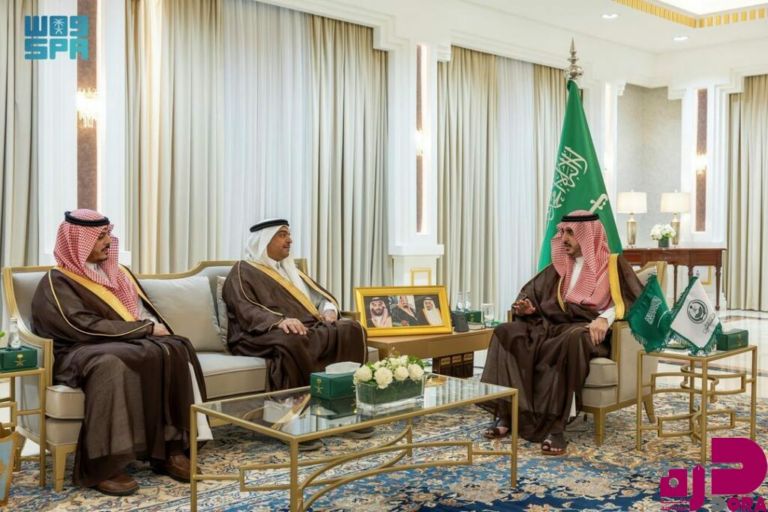 أمير منطقة الجوف يستقبل رئيس مجلس إدارة نادي الجوف لذوي الإعاقة