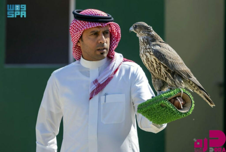 كأس نادي الصقور 2025.. يُمهِّد الطريق لمشاركة الصقارين في مهرجان الملك عبدالعزيز