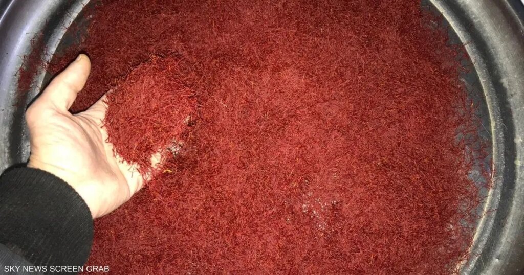 كيف يعزز الزعفران مزاجك ويحمي قلبك ويساعدك على خفض وزنك