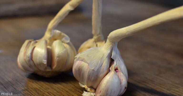 التهابات وأمراض مزمنة.. يشفيها الثوم طبيعيا