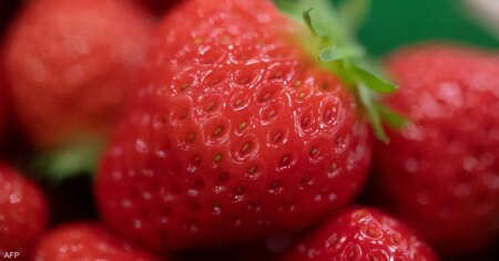 لتعزيز جهاز المناعة.. 7 فواكه غنية بفيتامين "سي"