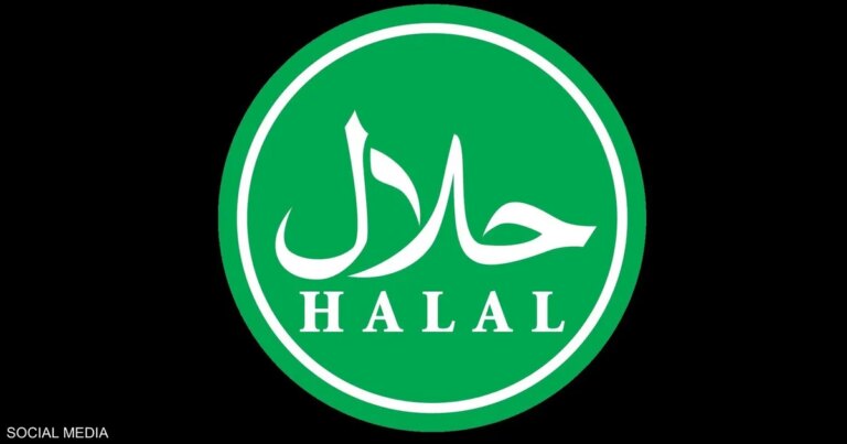 الإخوان و"بيزنس الحلال".. محفظة التنظيم المالية التي لا تنضب