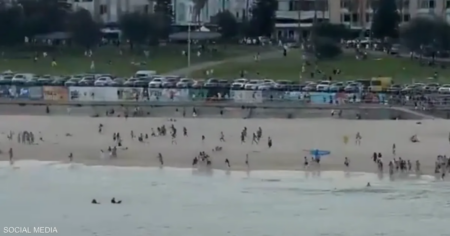 بالفيديو.. جرحى بإطلاق نار كثيف على شاطئ أسترالي شهير