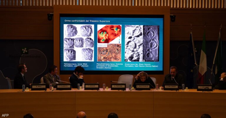 "الأكبر في العالم".. اكتشاف آثار لأقدام ديناصورات في إيطاليا