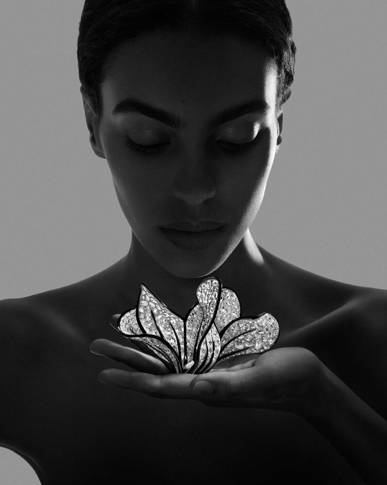 أبرز 6 إصدارات من دور المجوهرات العالمية في 2025