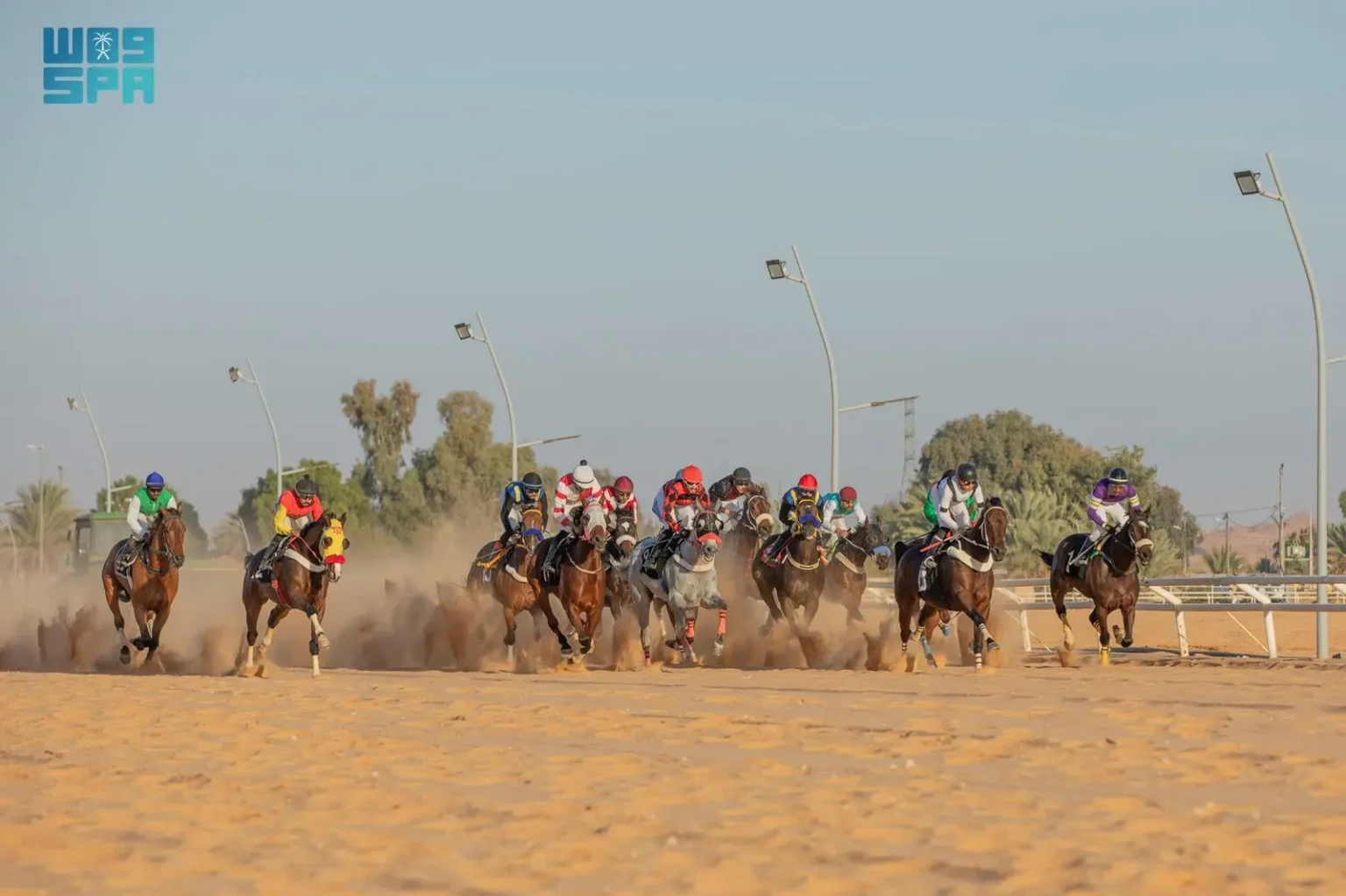ميدان فروسية الجوف يختتم حفل السباقات الثالث بتتويج 16 فائزًا