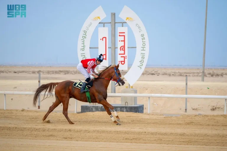 “فروسية الجبيل” تطلق أول سباقاتها للموسم الحالي 1447هـ