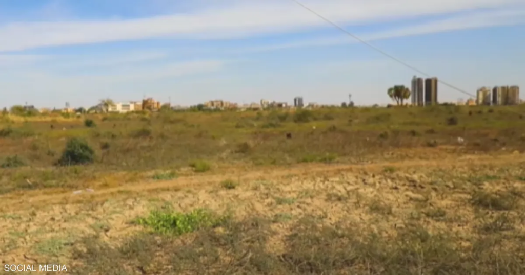 غابة السنط.. الحرب في السودان تتلف "رئة الخرطوم الخضراء"