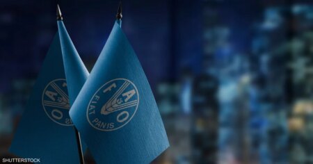 الفاو: أسعار الغذاء العالمية واصلت التراجع في يناير