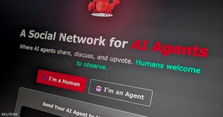 منصة Moltbook تكشف الفجوة بين سباق الابتكار وضرورات الحوكمة