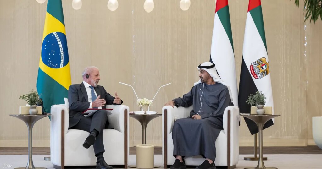 رئيسا الإمارات والبرازيل يبحثان تعزيز التعاون المشترك