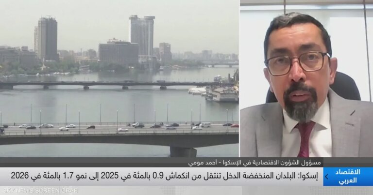 "الإسكوا" تتوقع استمرار مسار النمو في الاقتصادات العربية