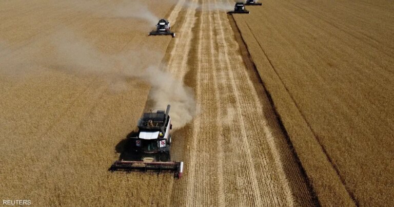 قفزة في أسعار القمح بسبب تدهور حالة المحصول في أميركا