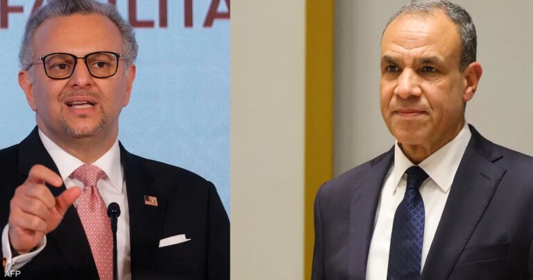 عبد العاطي وبولس يبحثان مستجدات الأوضاع الإقليمية