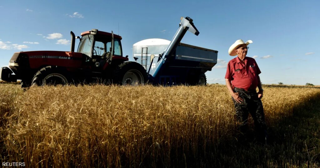 القمح ينخفض 3% والذرة تتراجع مع إعلان ترامب وقف إطلاق النار