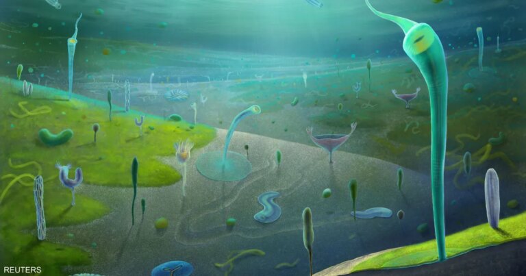 حفريات صينية تكشف كائنات بحرية عاشت قبل 546 مليون عام