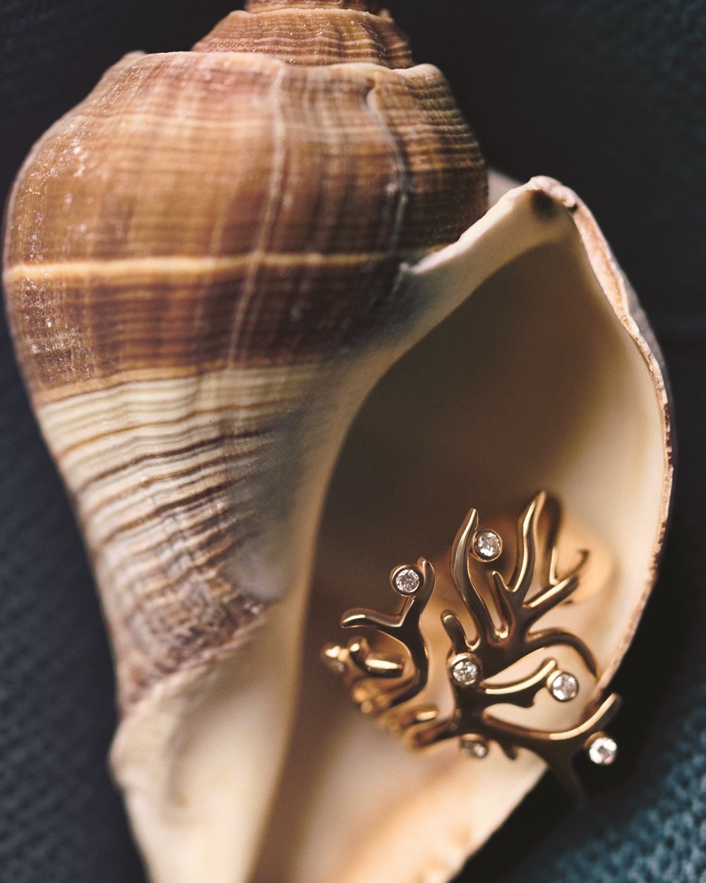 عفراء واليازيه الشامسي: الحِرفية تعني الحضور