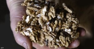 ما الكمية اليومية الموصى بها من المكسرات؟